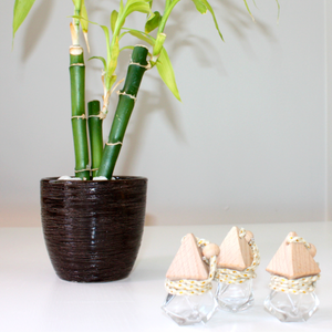 Our prism shaped car diffuser come in 5 custom blends that help to encourage us to breath, as soon as you open your car door, you are reminded to inhale, exhale and inhale again. This cute little number comes with a 2oz bottle of custom blend essential oils, for you to refill your prism with